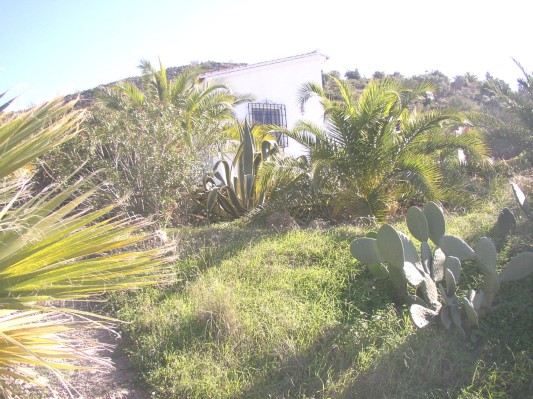 der Garten