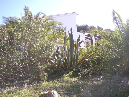 der Garten