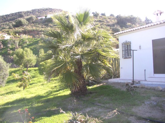 der Garten