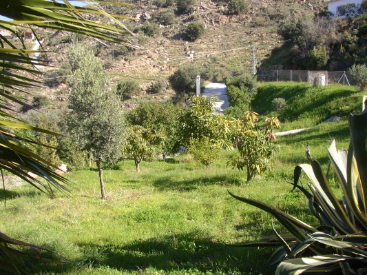 der Garten