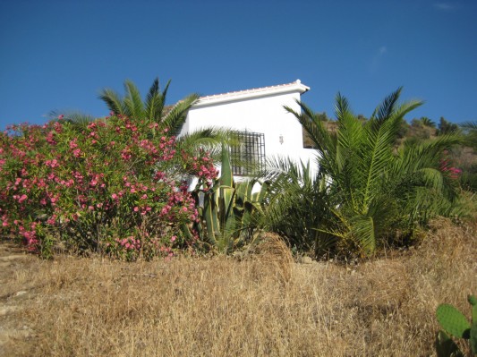 der Garten