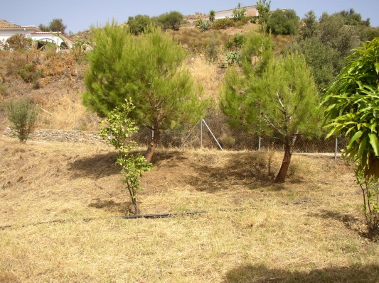 der Garten