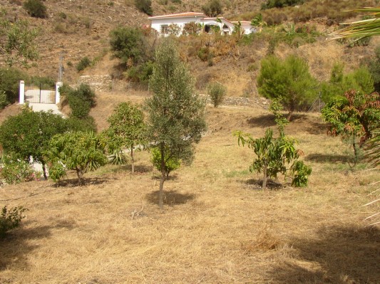 der Garten