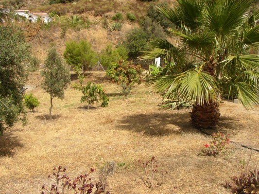 der Garten